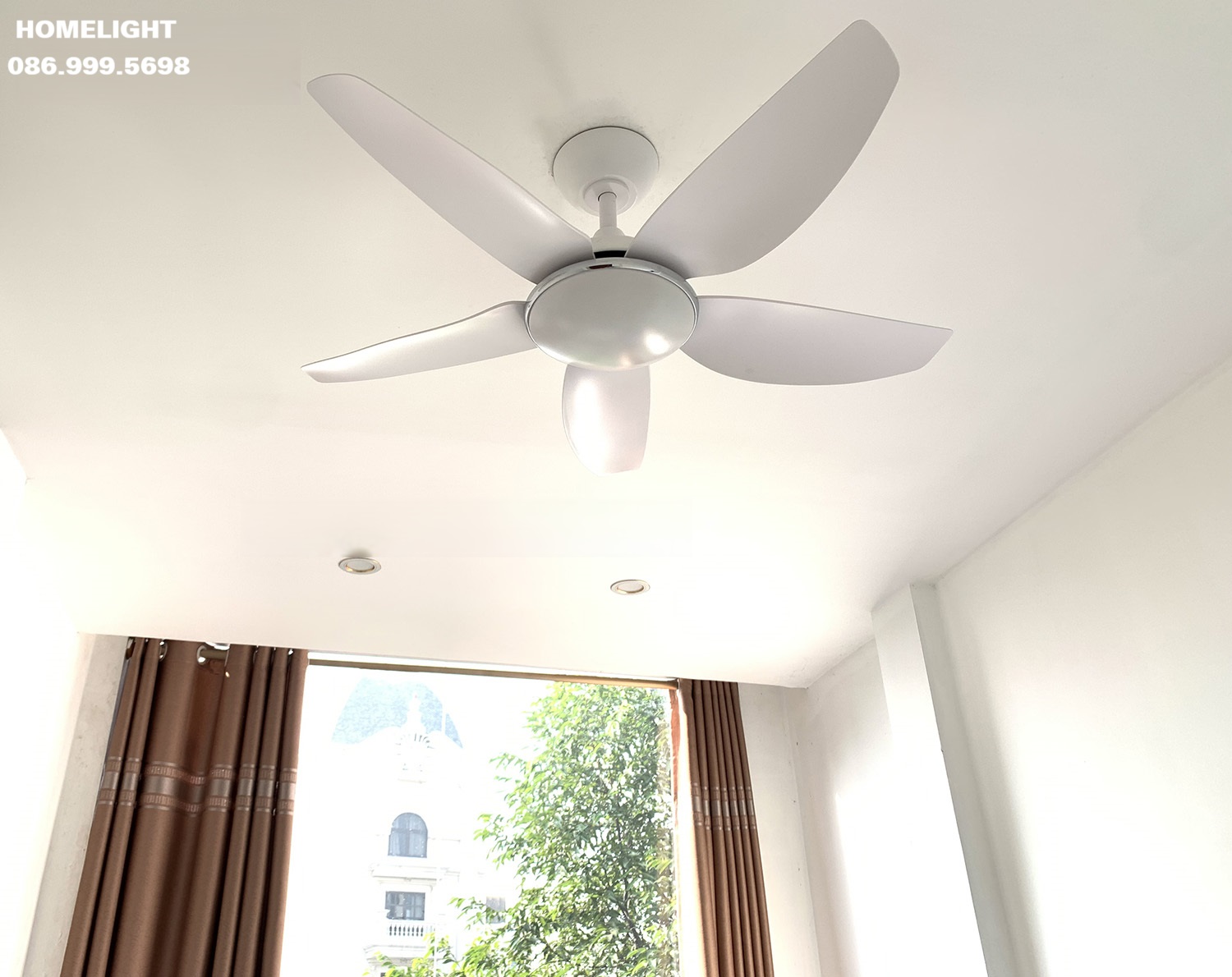 Quạt trần đèn HL Fan 512T